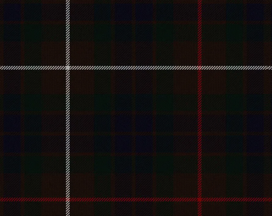 Fraser Hunting Modern Tartan Scarf