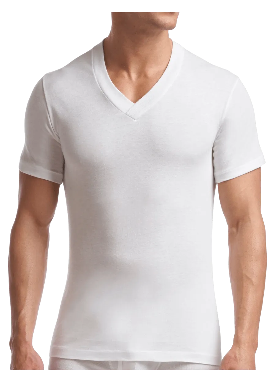 Men's Tall Supreme V-Neck T-Shirt - 2 Pack