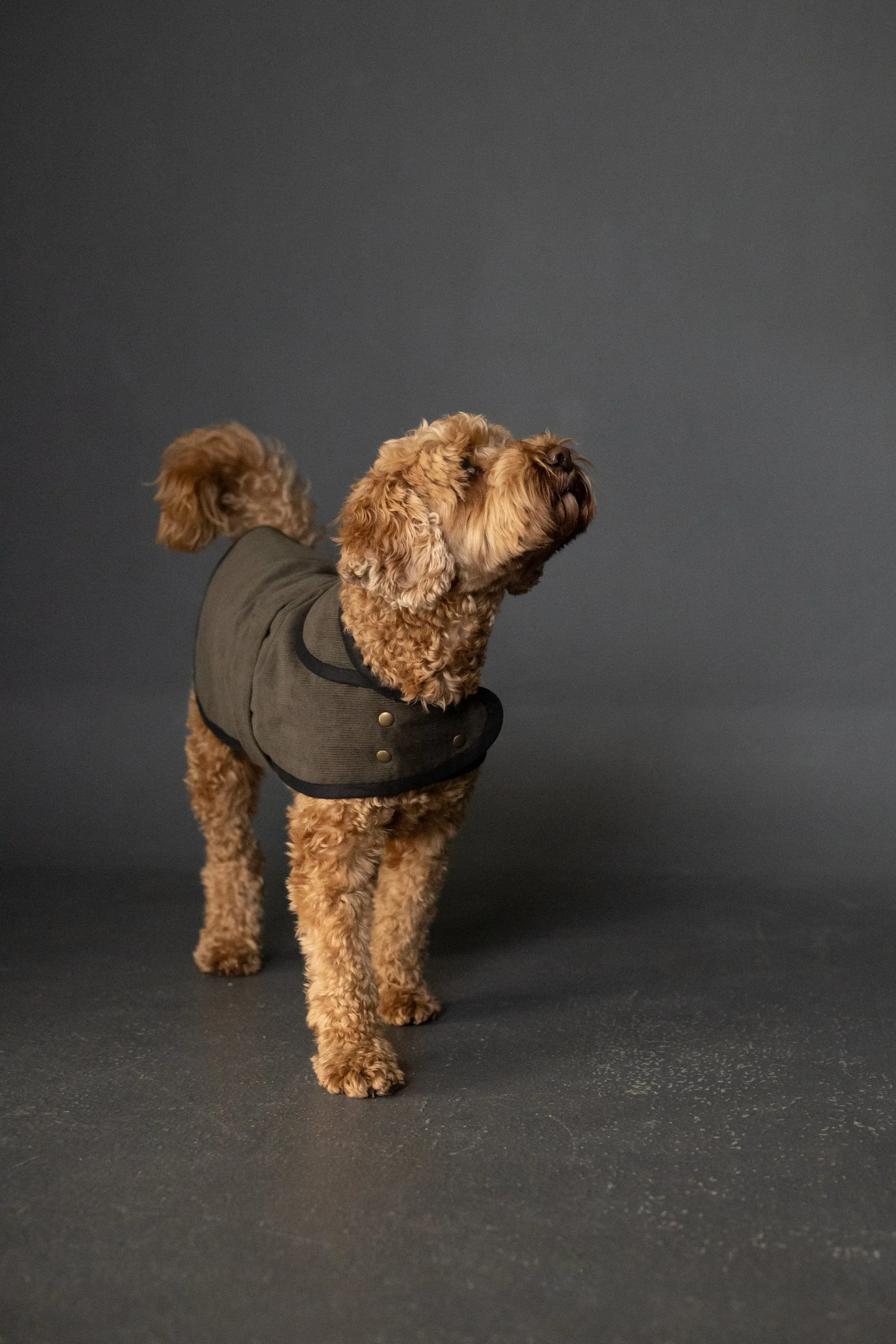 Merchant & Mills, Barka Dog Coat, PDF sewing pattern