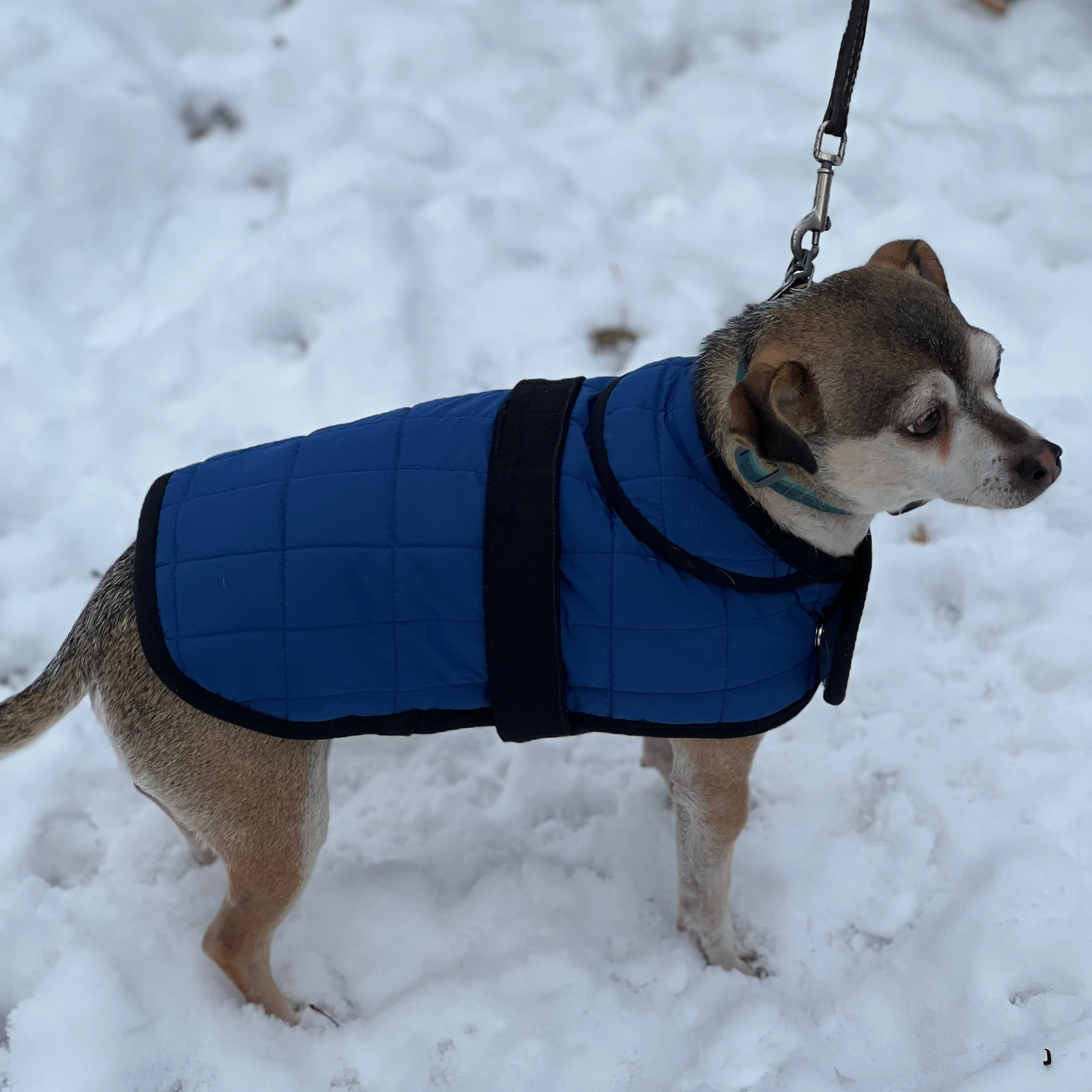 Merchant & Mills, Barka Dog Coat, PDF sewing pattern