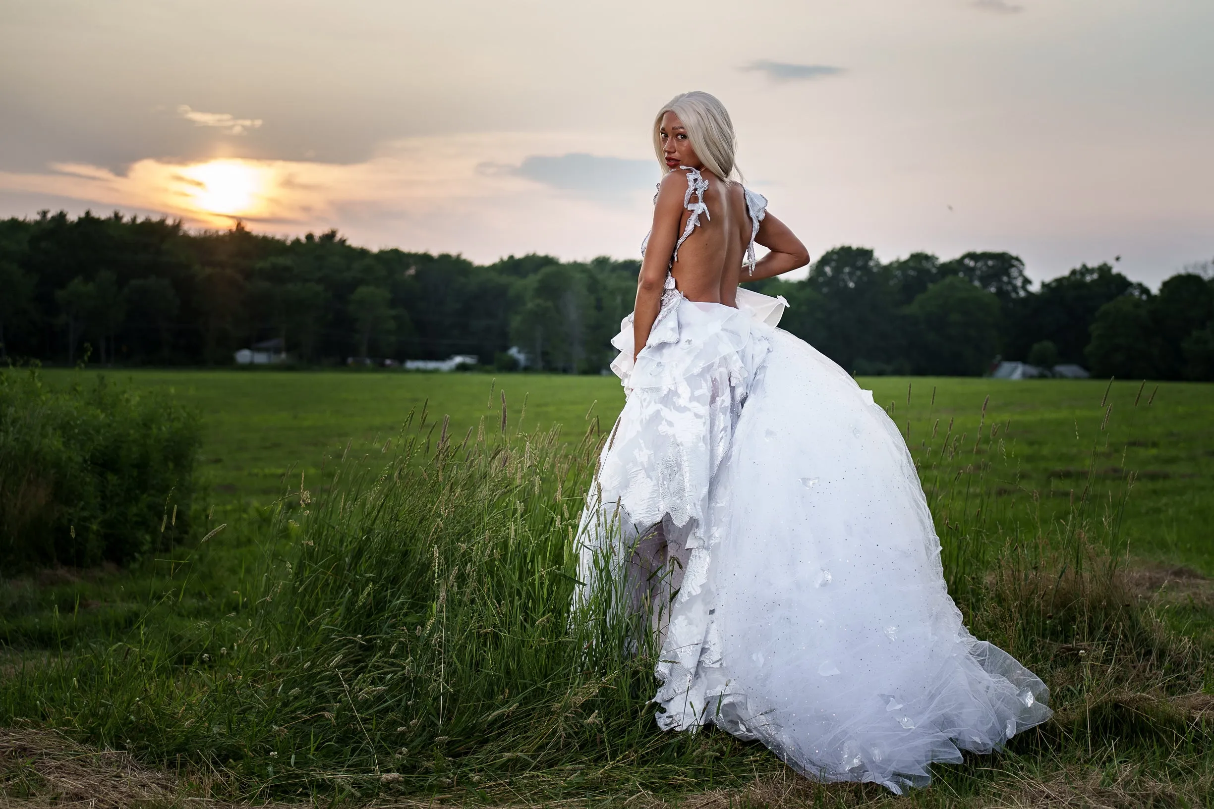 "DUCHESS MARILYN" White & Silver Embroidered Organza Crystal Wedding Ballgown Set